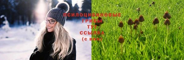 спиды Армянск