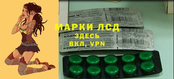 MESCALINE Аркадак