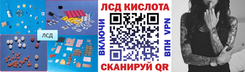 дарнет шоп  Снежногорск  Лсд 25 экстази ecstasy 