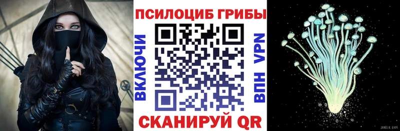 цена наркотик  сайты даркнета состав  hydra зеркало  Псилоцибиновые грибы Psilocybe  Снежногорск 