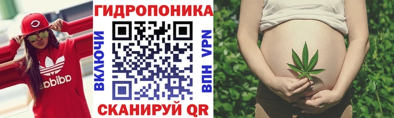 Бошки марихуана Amnesia  Снежногорск 